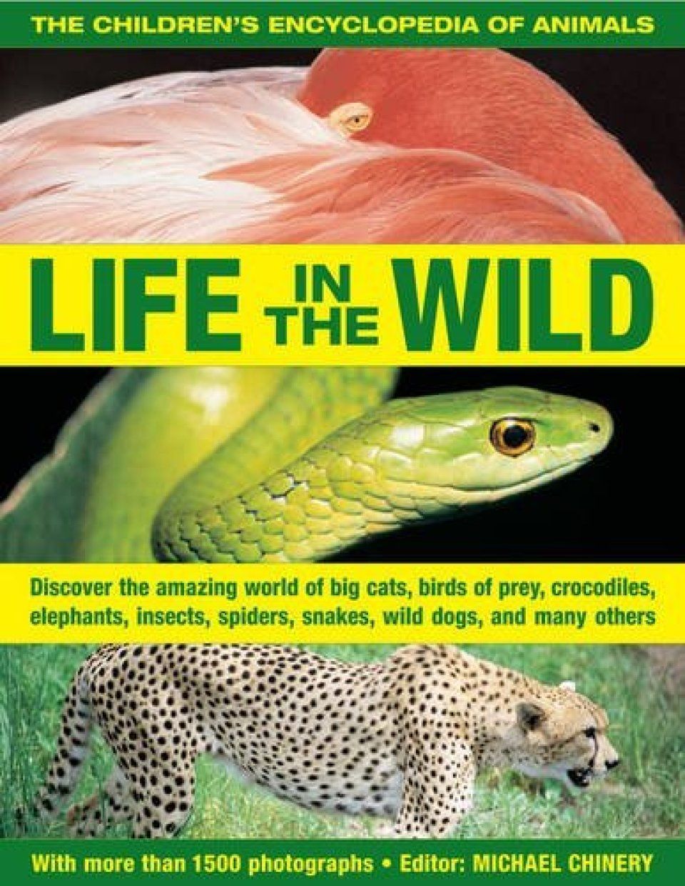 Life in the Wild
