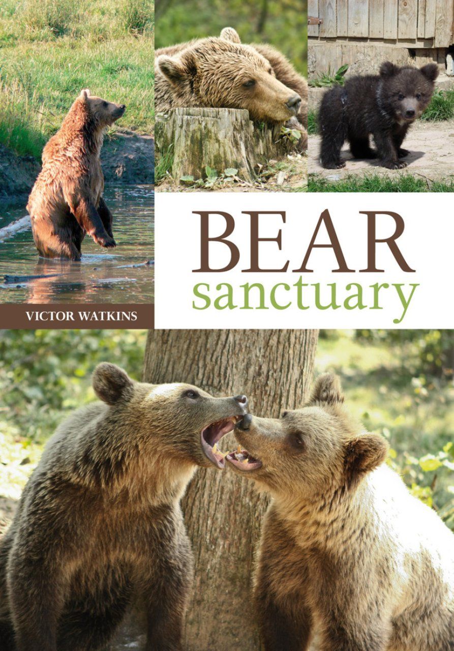 Bear Sanctuary