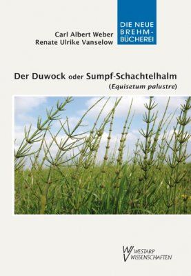 Der Duwock oder Sumpf-Schachtelhalm [The Duwock or Marsh Horsetail]