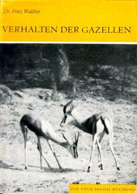 Verhalten der Gazellen [Behaviour of Gazelles]