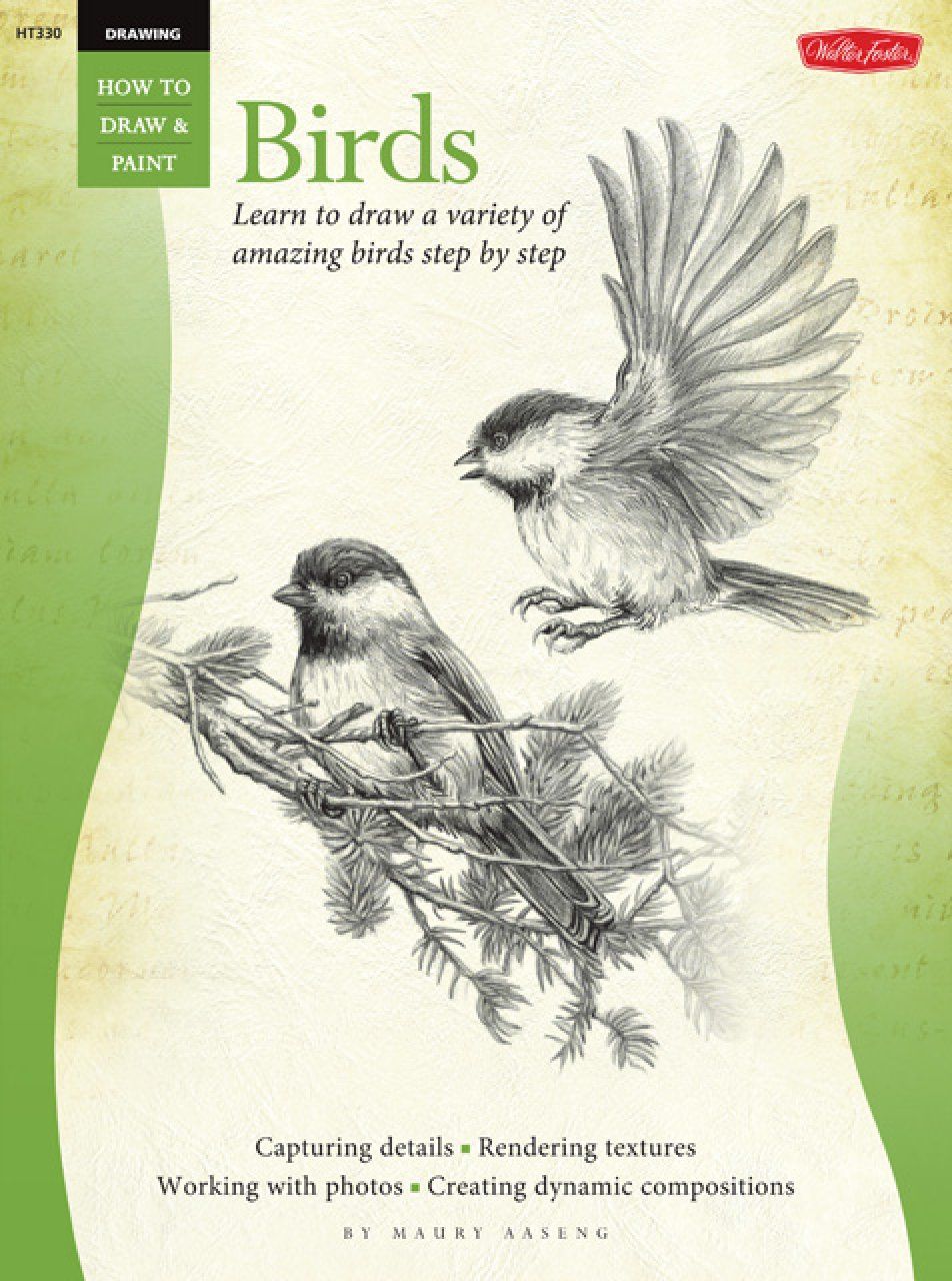 How to Draw &amp; Paint Birds