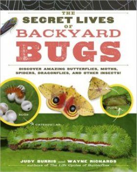 The Secret Lives of Backyard Bugs