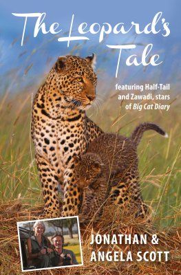 The Leopard&#039;s Tale