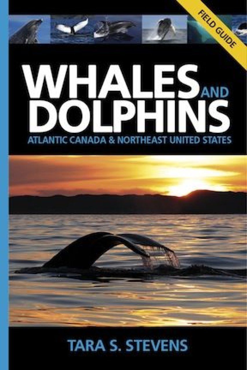Whales and Dolphins: Atlantic Canada &amp; Northeast United States