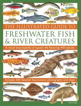 The Illustrated Guide to Freshwater Fish &amp; River Creatures