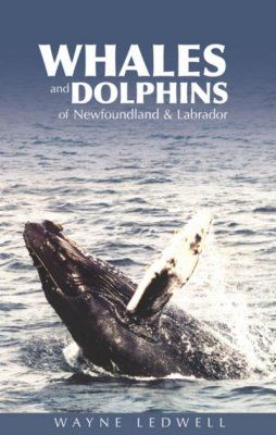 Whales and Dolphins of Newfoundland &amp; Labrador