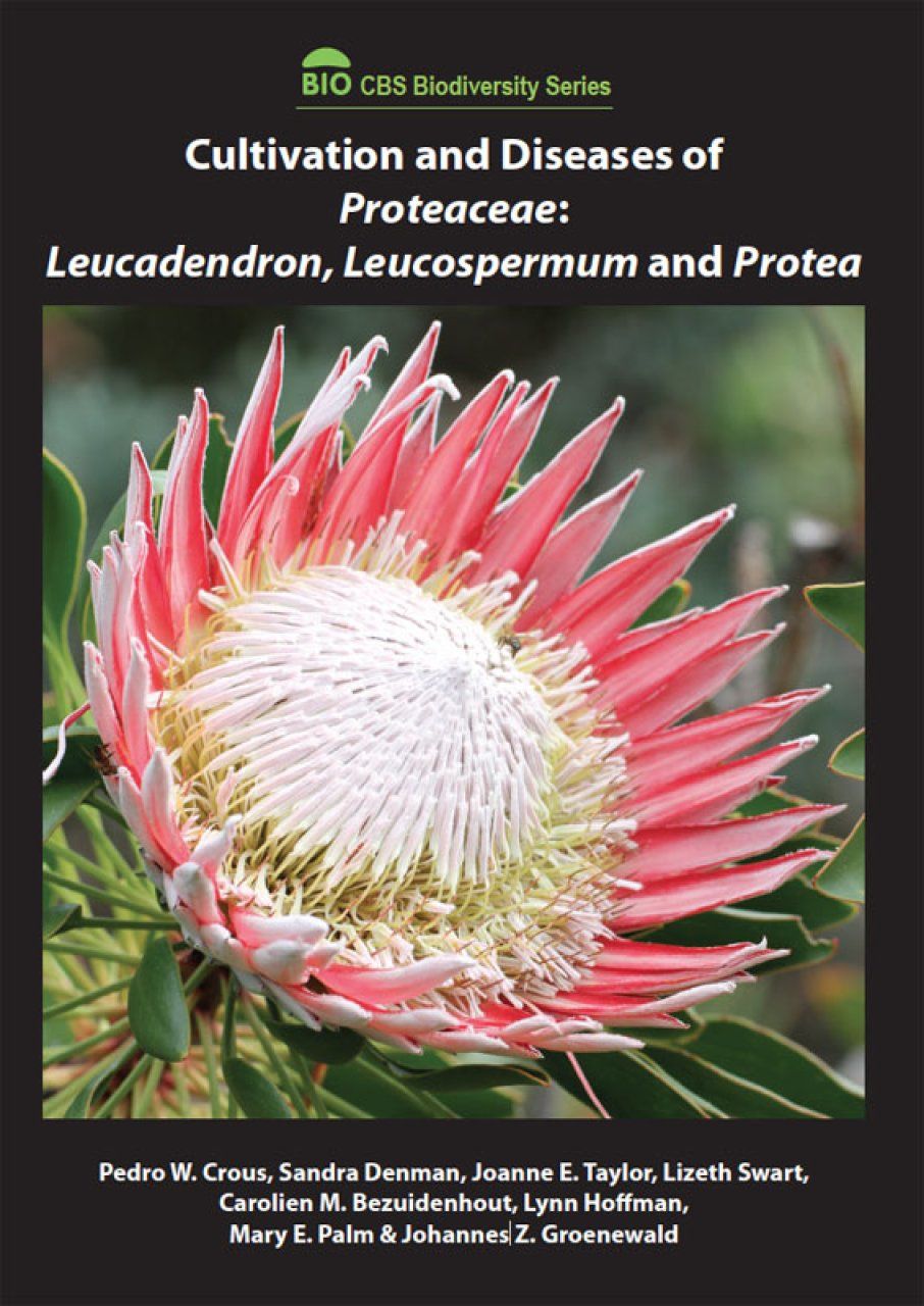 Cultivation and Diseases of Proteaceae