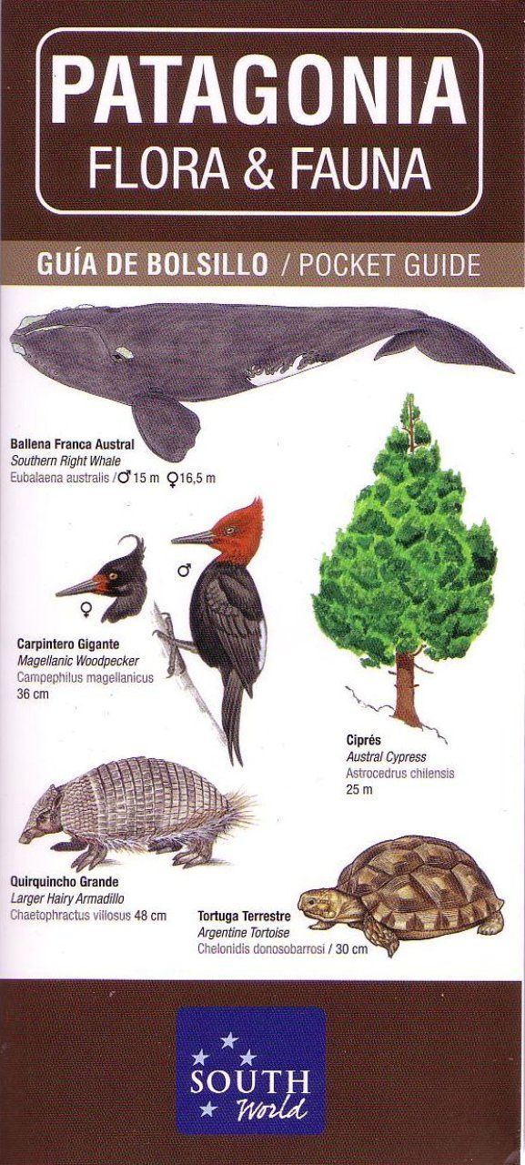 Patagonia Flora &amp; Fauna: Pocket Guide / Guía de Bolsillo