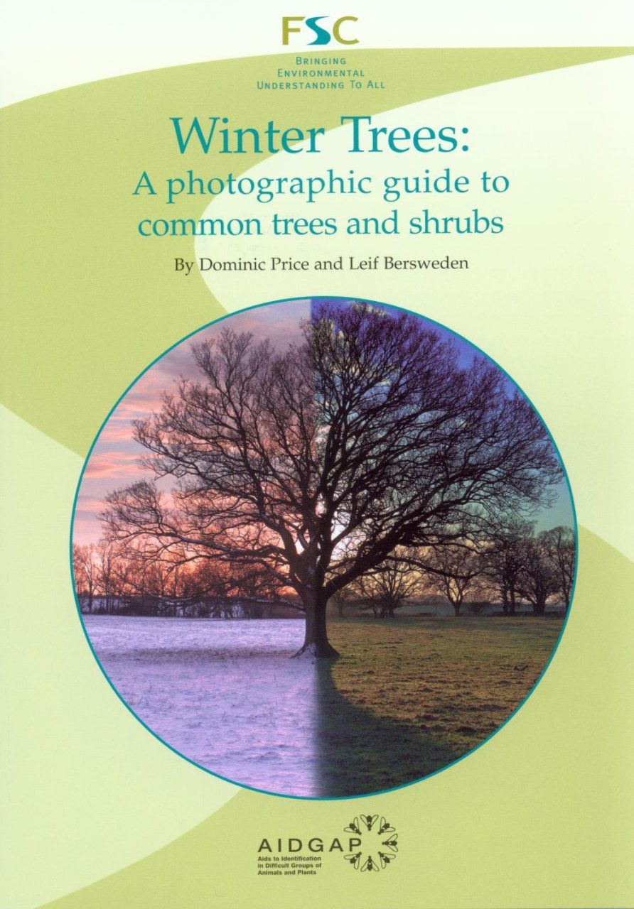 Winter Trees