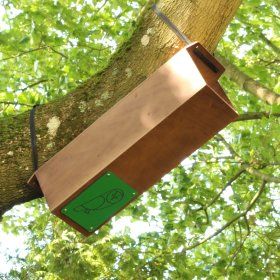 Tawny Owl Nest Box