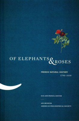 Of Elephants &amp; Roses