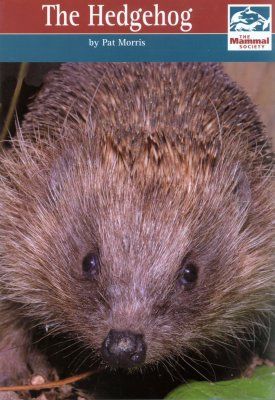 The Hedgehog