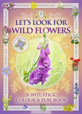 Let&#039;s Look for Wild Flowers