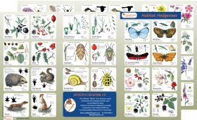 Habitat: Hedgerows