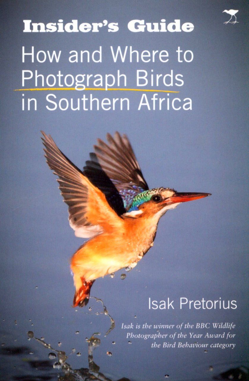 How and Where to Photograph Birds in Southern Africa