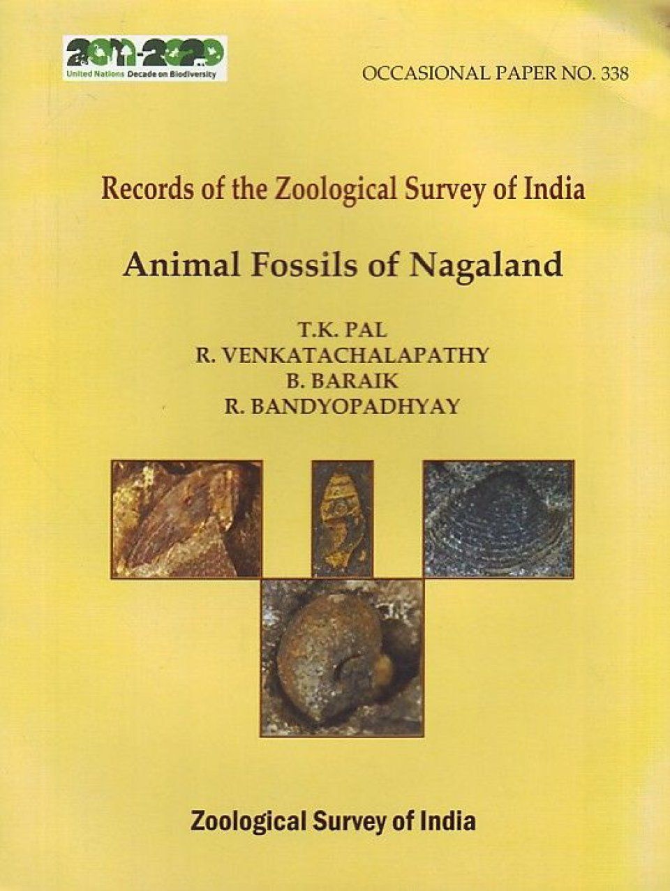 Animal Fossils of Nagaland