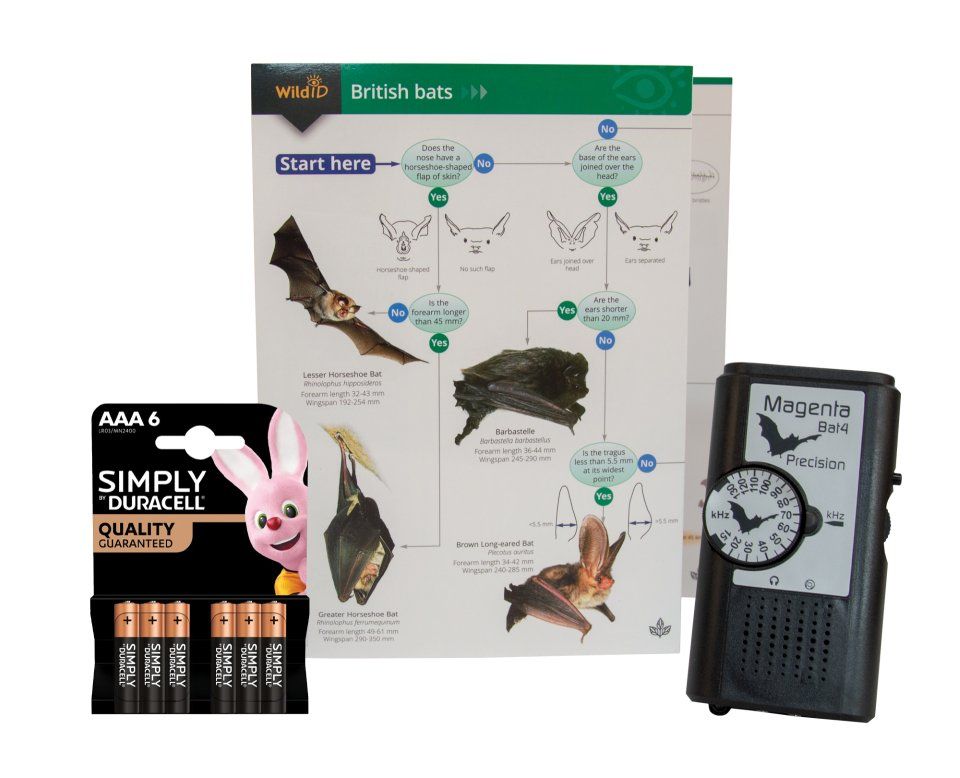 Beginners Bat Detecting Kit