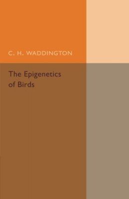 The Epigenetics of Birds