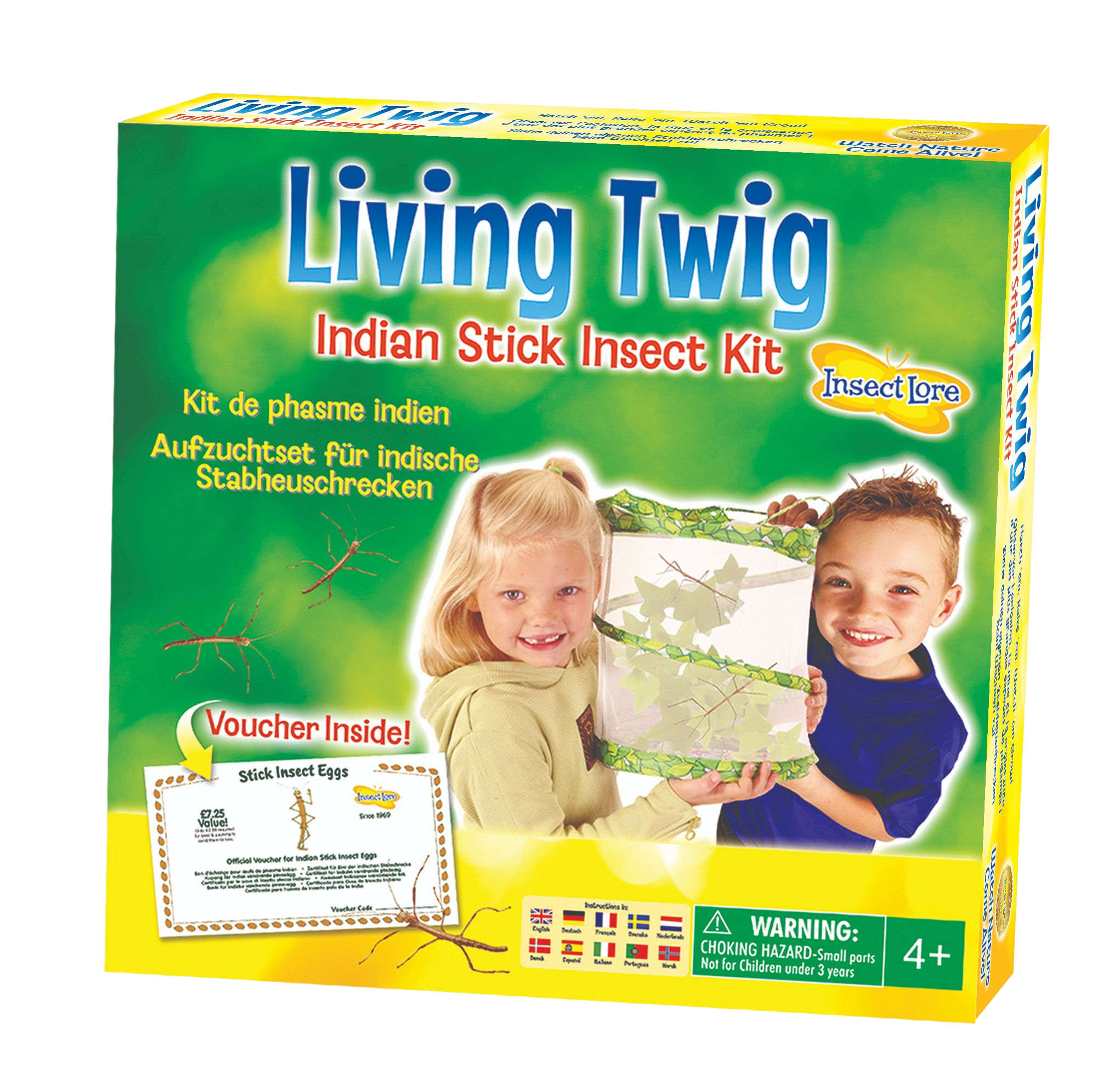 Living Twig Stick Insect Kit