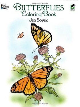 Butterflies Coloring Book