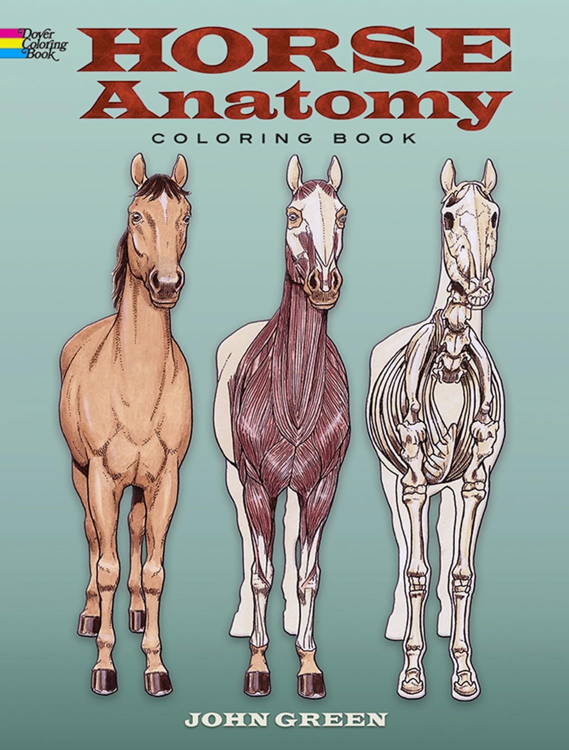 Horse Anatomy Coloring Book