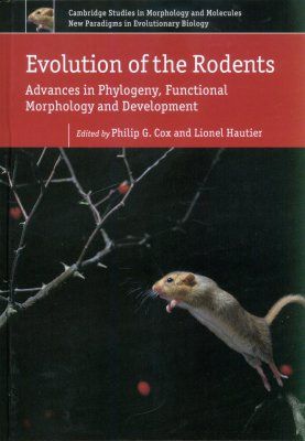 Evolution of the Rodents