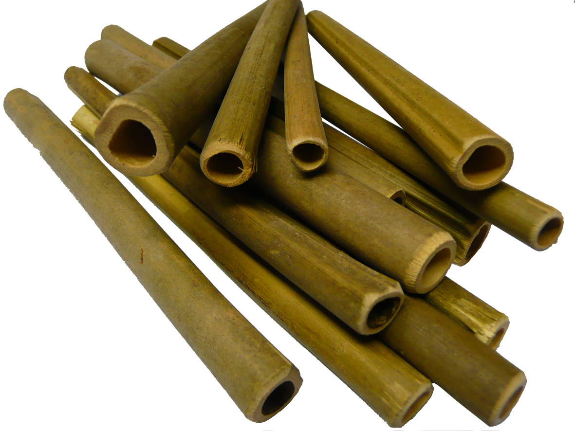 Wooden Bee Nesting Tubes (Pack of 50)