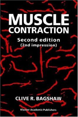 Muscle Contraction