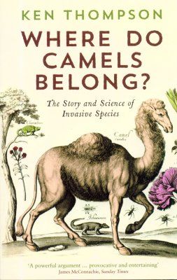 Where Do Camels Belong?