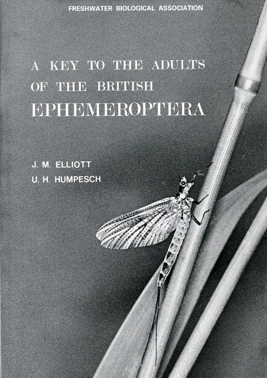 A Key to the Adults of the British Ephemeroptera
