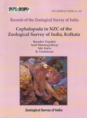 Cephalopoda in NZC of the Zoological Survey of India, Kolkata