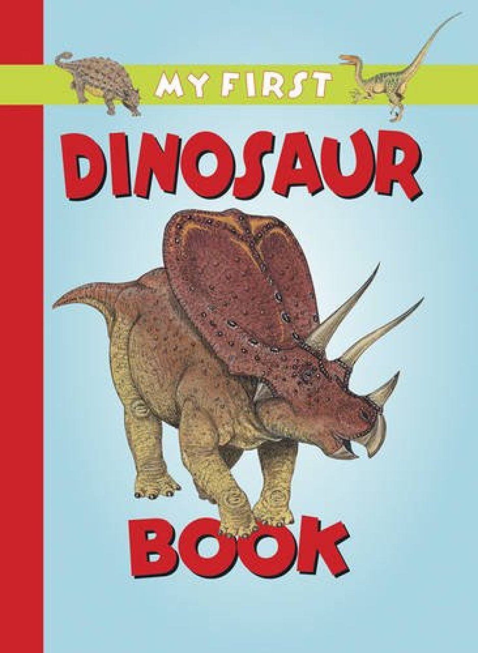 My First Dinosaur Book