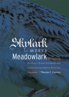 Skylark Meets Meadowlark