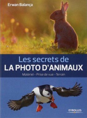Les Secrets de la Photo d&#039;Animaux