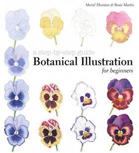 Botanical Illustration for Beginners