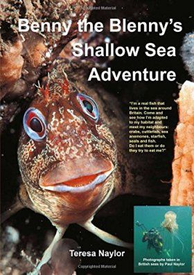 Benny the Blenny&#039;s Shallow Sea Adventure