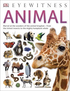 Eyewitness Guides: Animal
