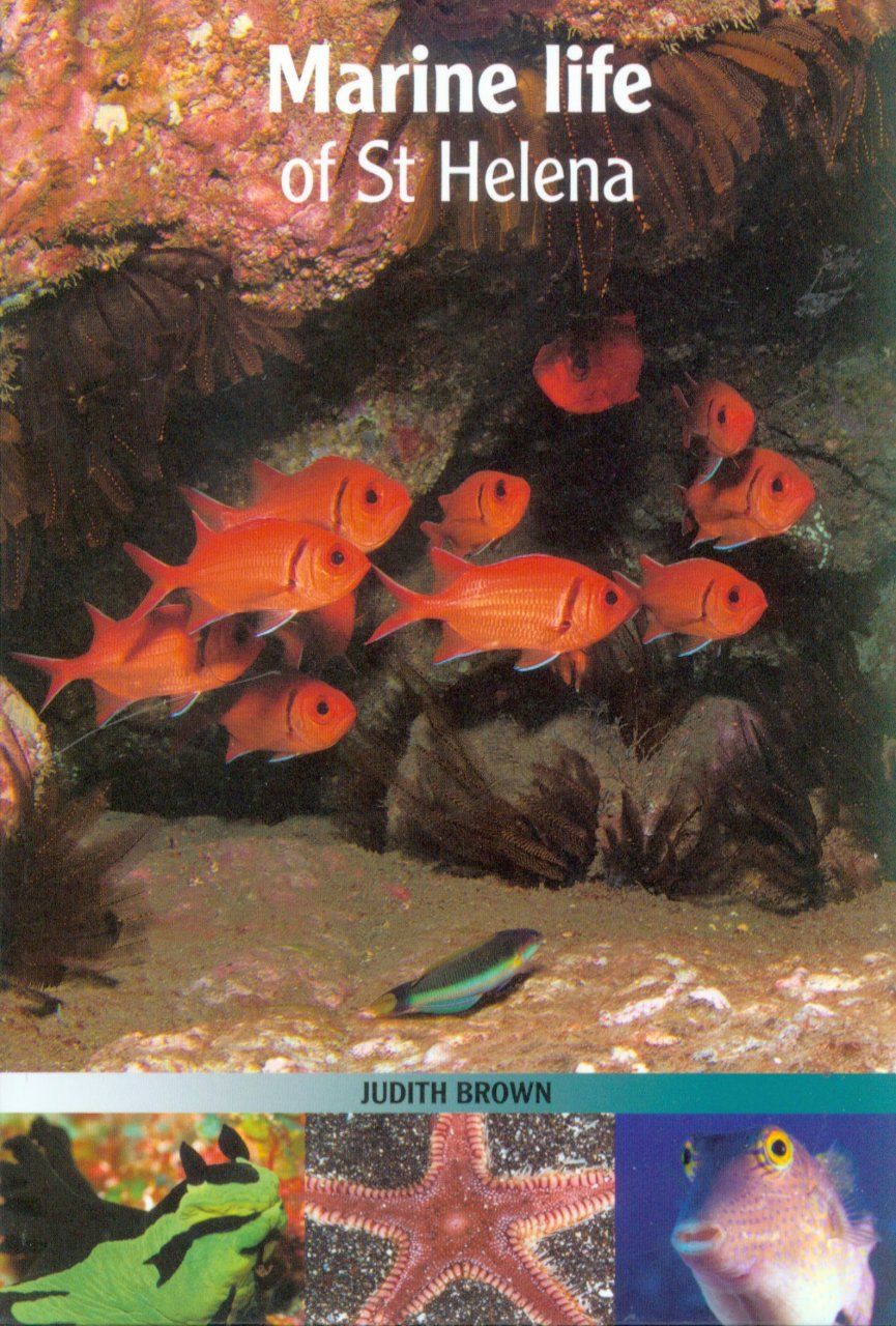Marine Life of St. Helena