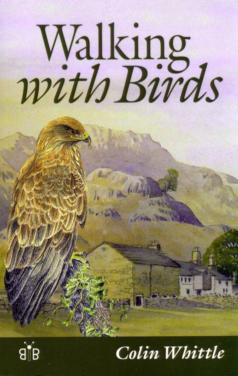 Walking with Birds