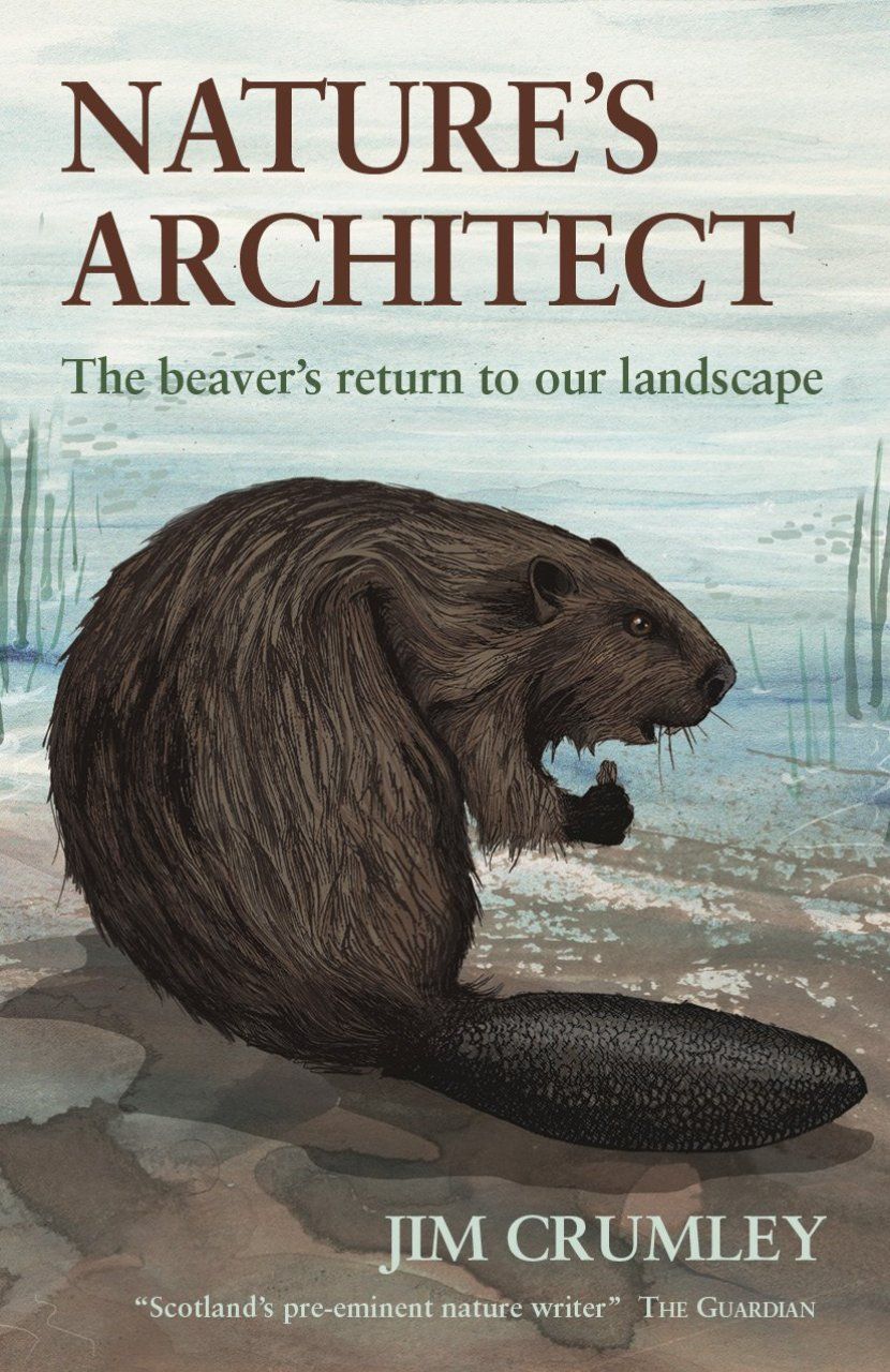 Nature&#039;s Architect