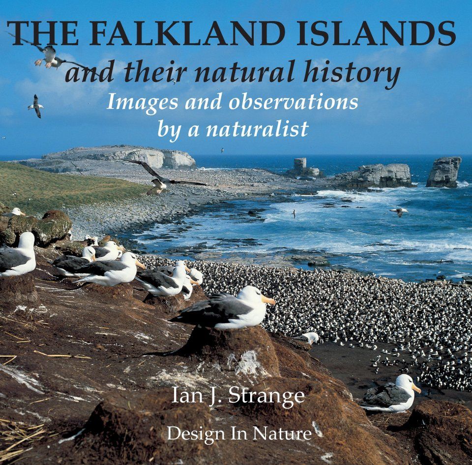 The Falkland Islands and Their Natural History