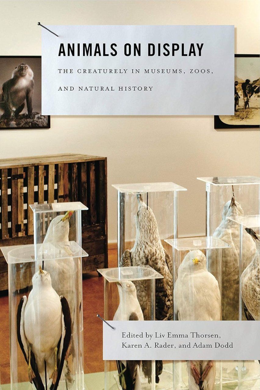 Animals on Display