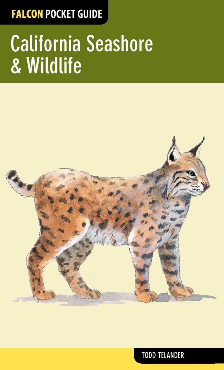 California Seashore &amp; Wildlife
