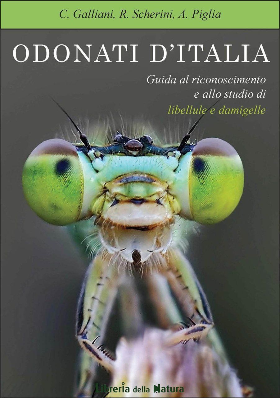 Odonati d&#039;Italia [Odonates of Italy]