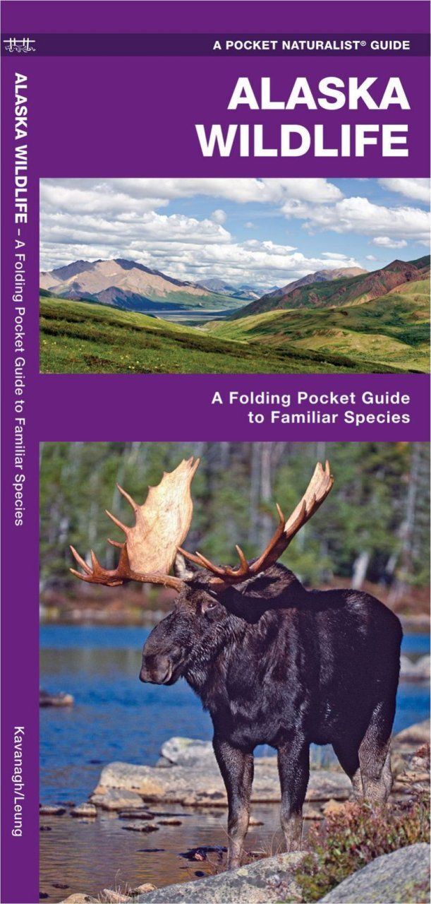 Alaska Wildlife
