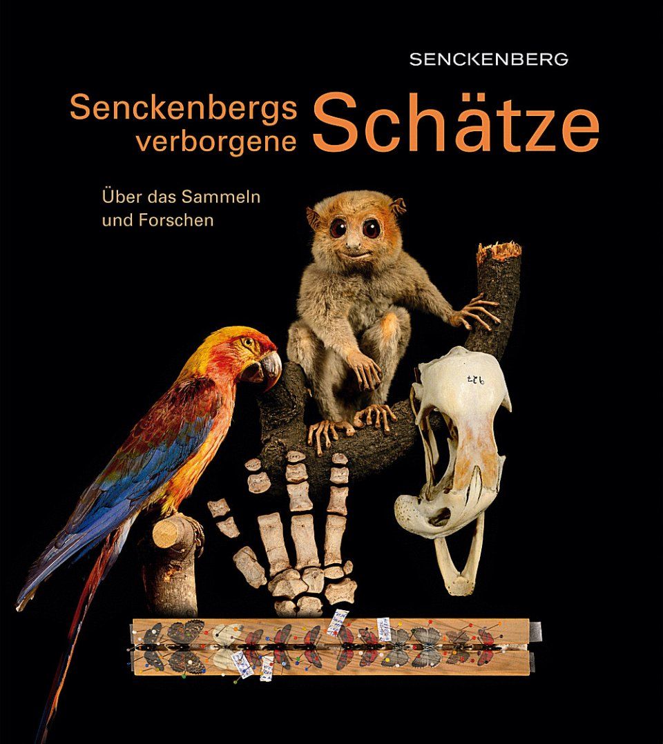 Senckenbergs Verborgene Schätze: Über das Sammeln und Forschen [Senkenberg&#039;s Hidden Treasures: On the Collecting and Researching]