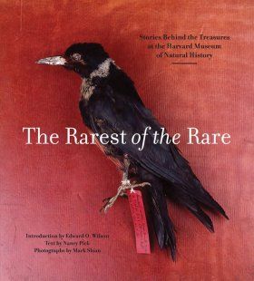 The Rarest of the Rare