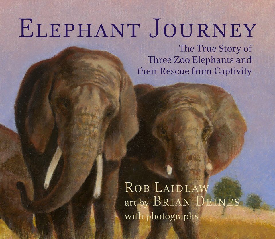 Elephant Journey