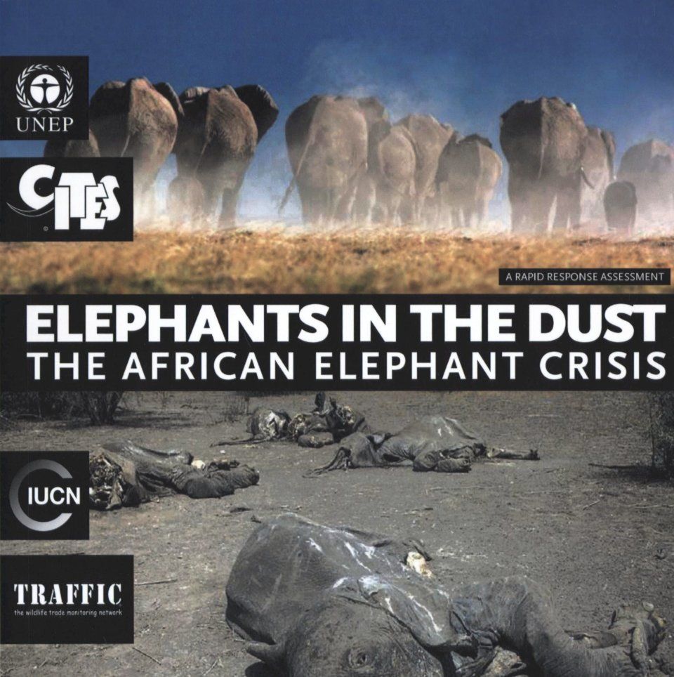 Elephants in the Dust