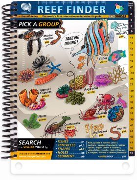Reef Finder